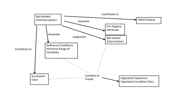 BpS Models and Descriptions contributed to FBFM Ruleset, generated Fire Regime Attributes, Supported BpS Spatial Data, Generated Reference Conditions and Historic Range of Variability, and Contributed to Succession Class. Succession Class, Reference Condition, Historical Range of Variability, and BpS Spatial data combined to Create Vegetation Departure and Vegetation Condition Class.